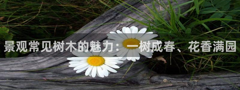 新宝gg集团：景观常见树木的魅力：一树成春、花香满园