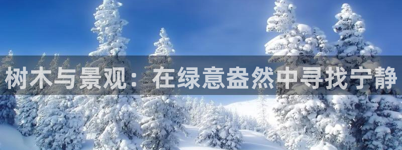 娱乐新宝GG:树木与景观:在绿意盎然中寻找宁静