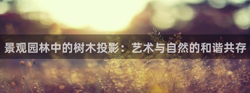 新宝GG扩展78778:景观园林中的树木投影:艺术与自然的和谐共存