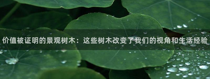 新宝gg代:价值被证明的景观树木:这些树木改变了我们的视角和生活经验