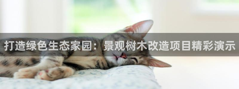 新宝gg创建奇迹:打造绿色生态家园:景观树木改造项目精彩演示