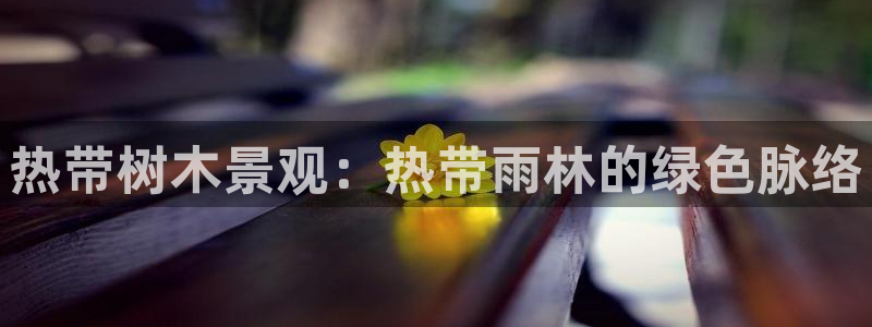 新宝gg维护：热带树木景观：热带雨林的绿色脉络