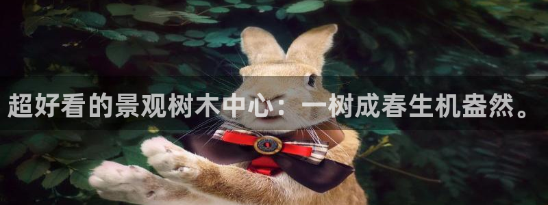 新宝GG跑路