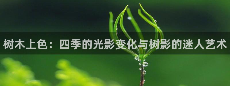 新宝gg娱乐怎么样
