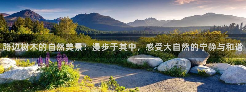新宝gg专线