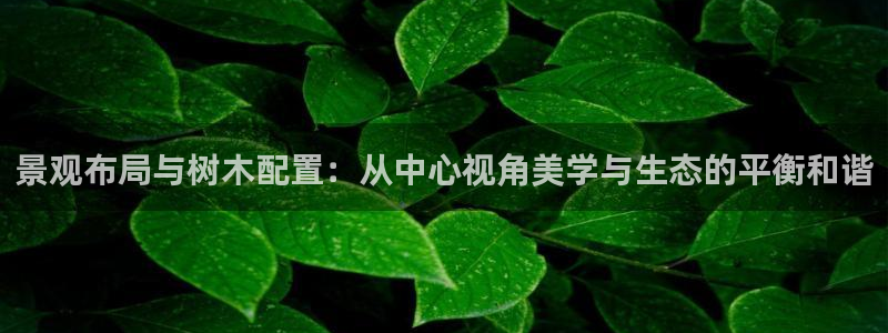 新宝GG娱乐下载